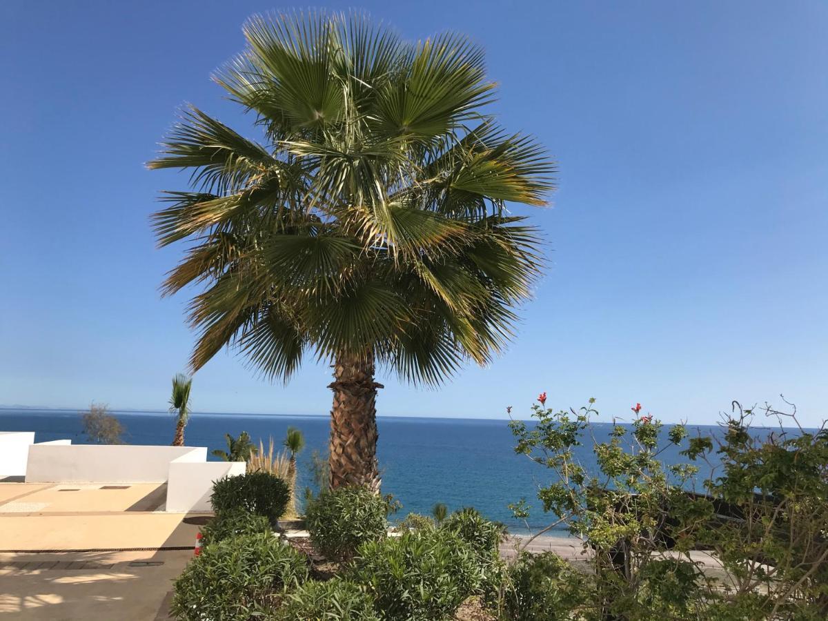 Palmbeach 莫哈卡尔 外观 照片